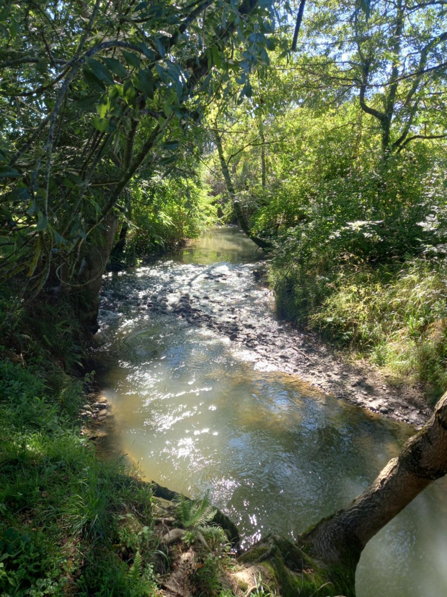 L'Oasis Des Pyrenees Villa Campuzan Eksteriør billede